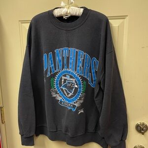 Rare Carolina Panthers Vintage Sweatshirt by Nutmeg Mills, 1993